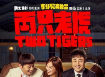 《两只老虎》定档11月29日全国上映 有哪些亮点？
